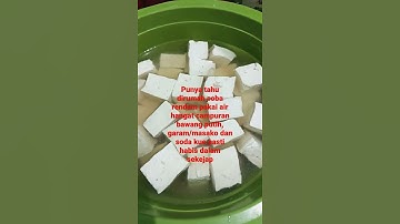 Thumbnail of Eksperimen tahu di rendam pakai soda kue campur bawang putih || auto bikin nagih
