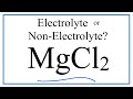 Properties and Characteristics of Magnesium Chloride
