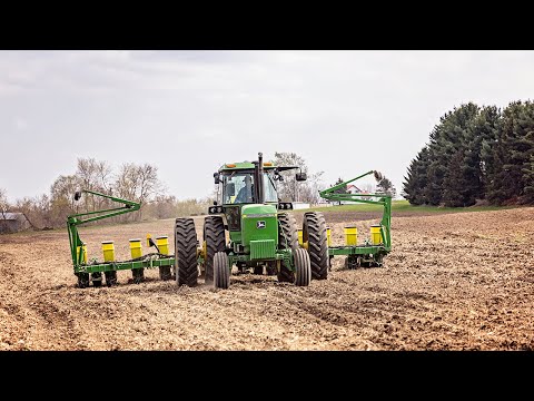 Video: Om soyaplanter – tips om hvordan man dyrker soyabønner i hager