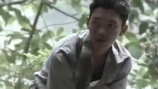 Hati,daging,limpa paru?