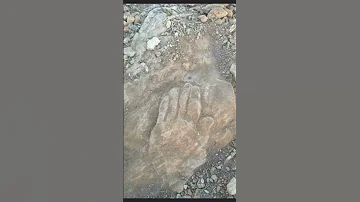 تحليل إشارة اليد الإشارات الرموز الدفائن الكنوز تحليل اشاره Viral الجرة 