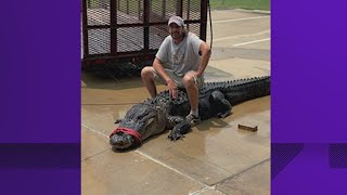 That's one big gator in La Porte!