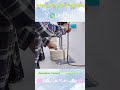 Polylactic acid fabric, of high quality and full range#clothes#factory#computerprinting