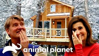 The Absolute Craziest Treehouses of SEASON 3! | Treehouse Masters | Animal Planet