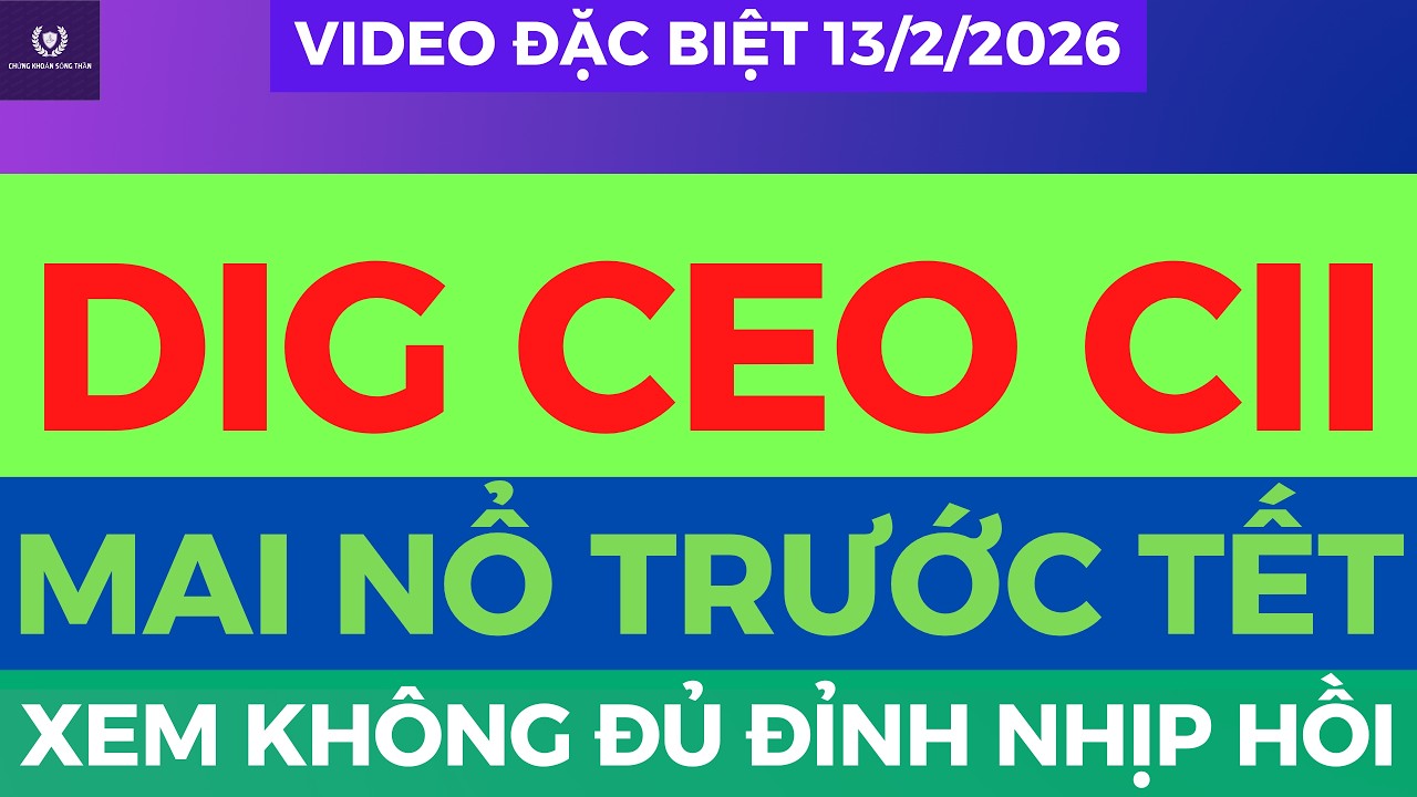 DIG CEO CII MAI NỔ TRƯỚC TẾT, TOP CỔ PHIẾU CHỈNH LÀ MÚC