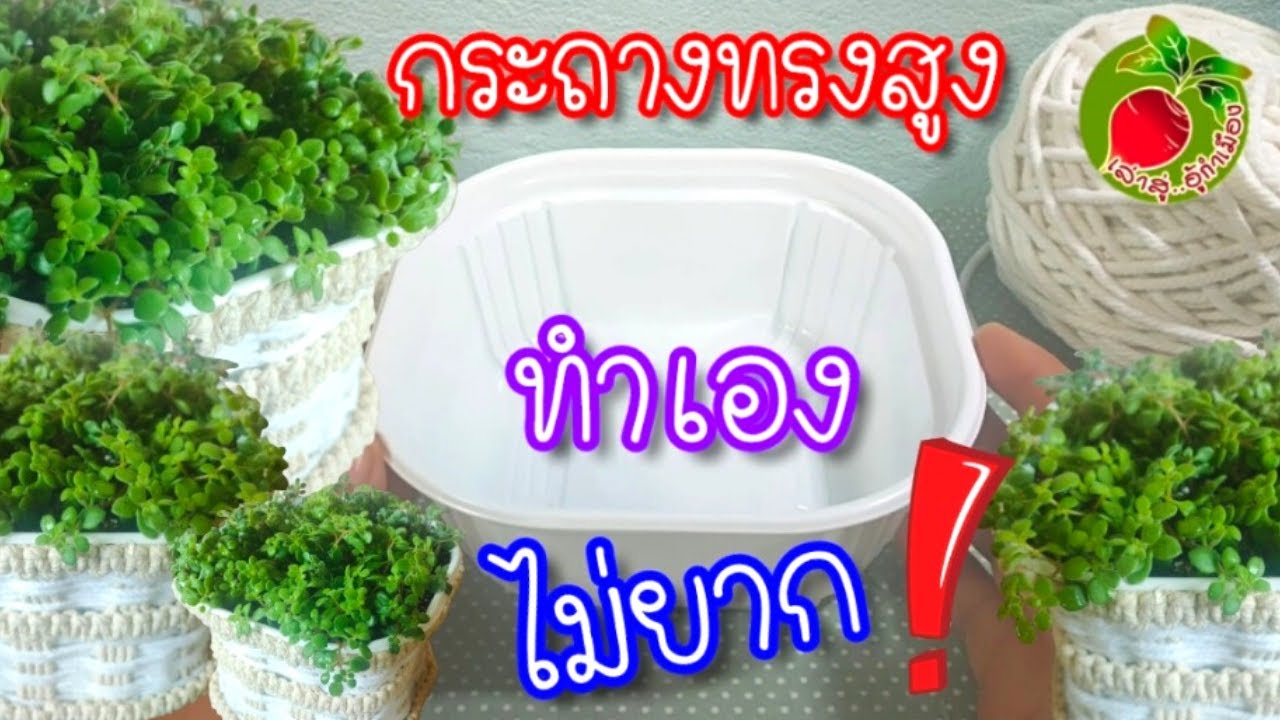 กระถางต้นไม้ diy ทำเองง่ายๆ กล่องข้าว พลาสติก วัสดุเหลือใช้ ปลูกไม้ประดับย้อยสวยๆ/เล่าสู่อู้กำเมือง