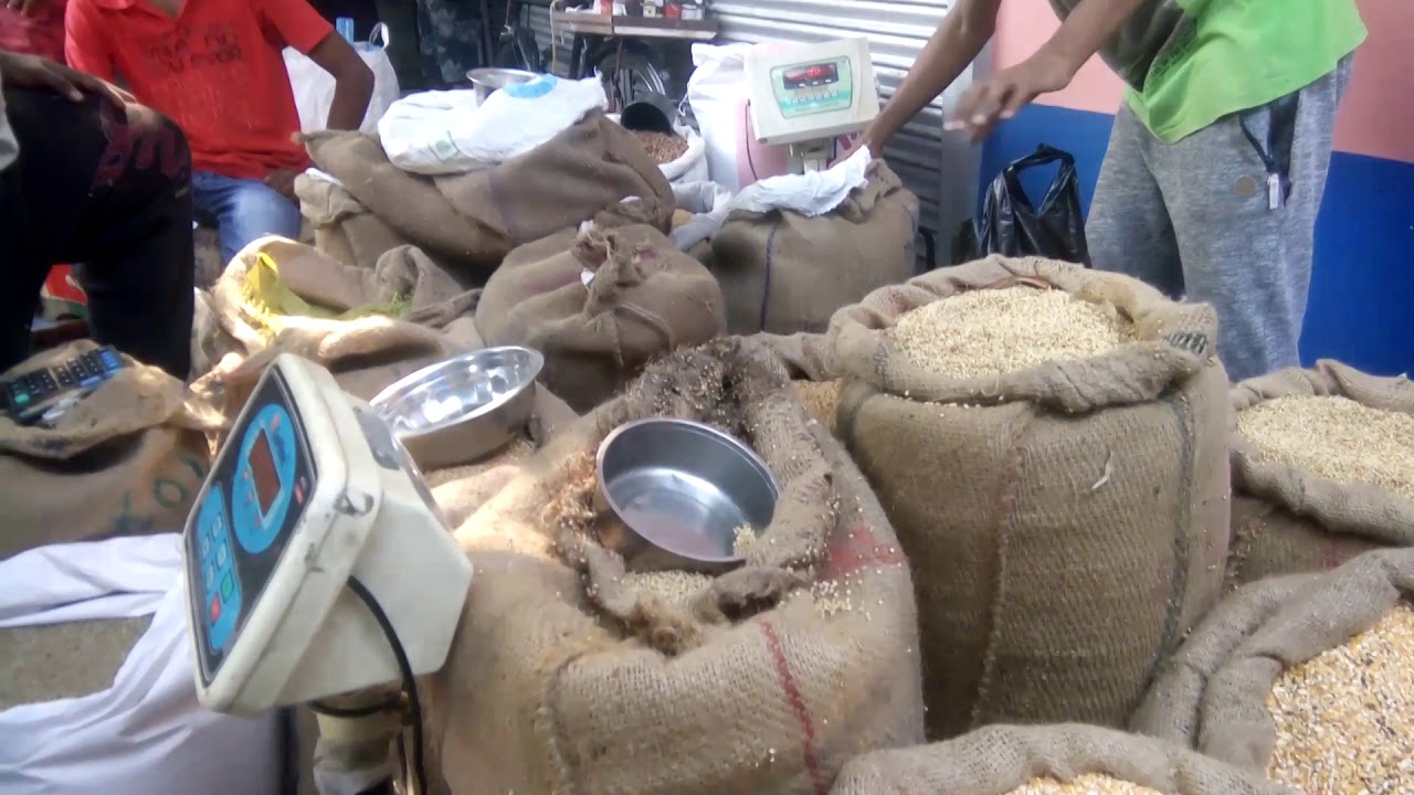 Pet food in pet market Kolkata YouTube