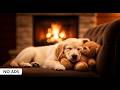 12 Hours of Soothing Music for Dogs 🎶 Anxiety &amp; Stress Relief 🐶 Pet Relaxation – No Ads