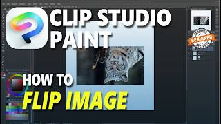 How To Flip Image In Clip Studio Paint