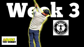 Famous Shawn Clement's Wisdom in Golf Review - Week 3 Online Lesson - Golf Test Dummy Wealth