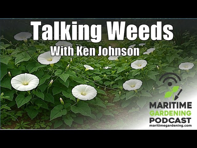 Talking Weeds with Ken Johnson