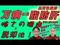 【万病の元】脂肪肝・異所性脂肪 怖さの理由と脱却法【日本人（体質）がやってはいけないこと】