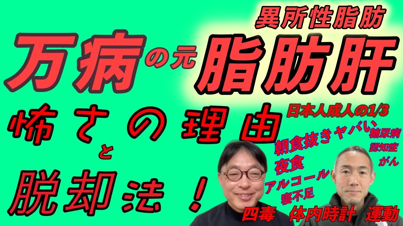 【万病の元】脂肪肝・異所性脂肪 怖さの理由と脱却法【日本人（体質）がやってはいけないこと】