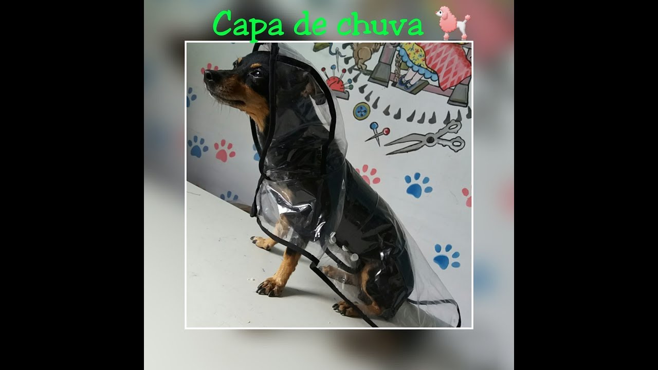 Capa de chuva para pets #aula15