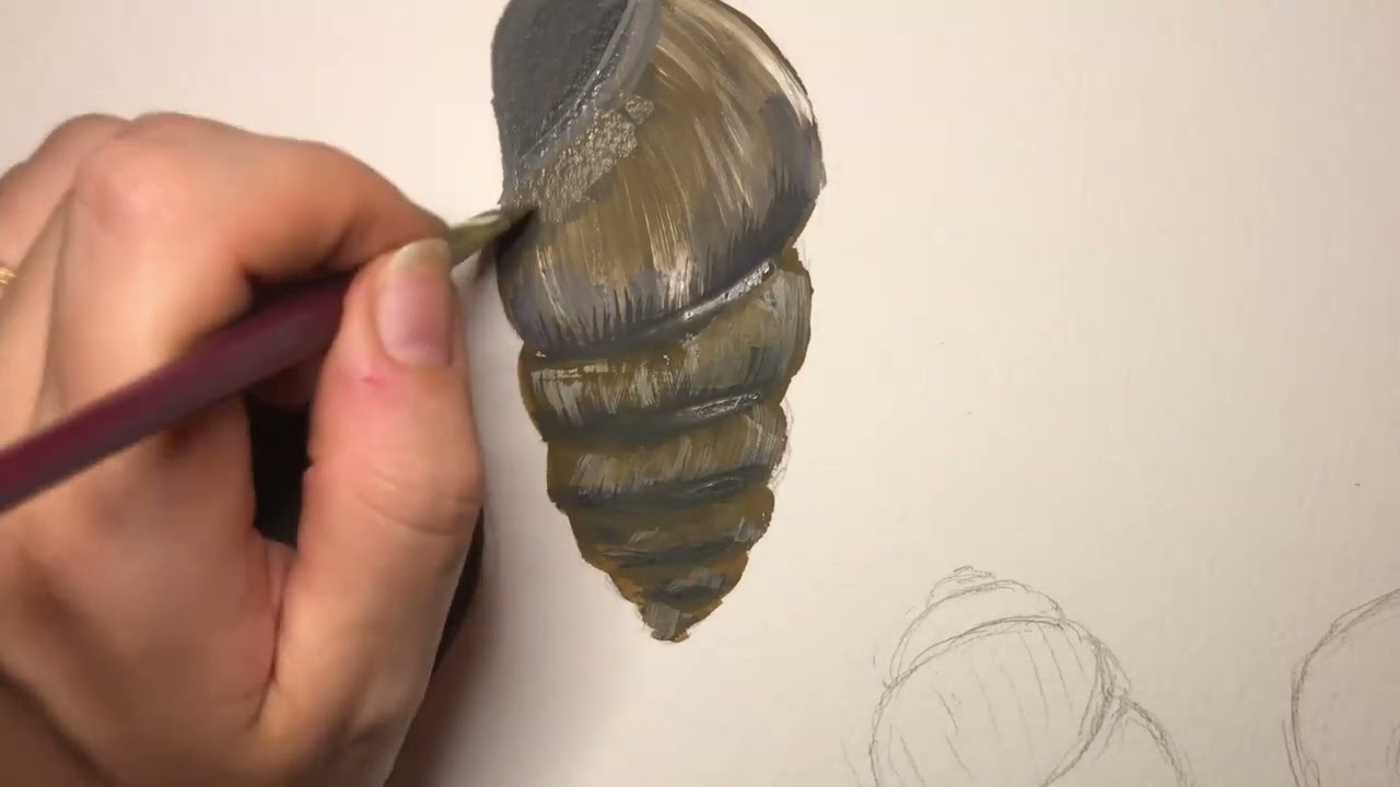 Drawing snail shells : long version