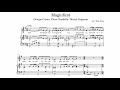 ACCOMPAGNAMENTI ORGANISTICI = 83) Magnificat «Dio ha fatto in me» (Casini - Ciardella - Grignani)