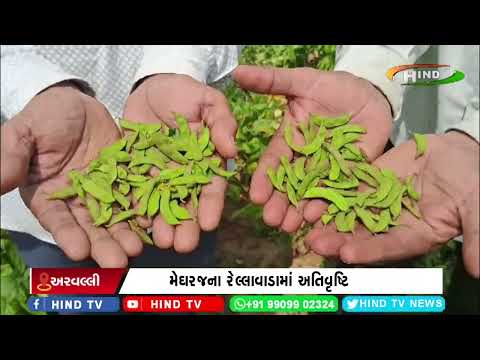 મેઘરજના રેલ્લાવાડામાં અતિવૃષ્ટિ