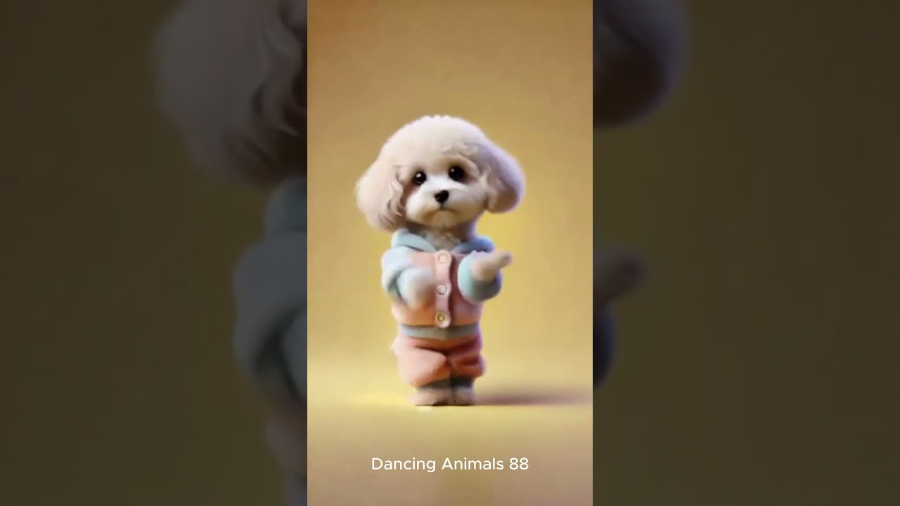 Let's all enjoy dancing with dogs  