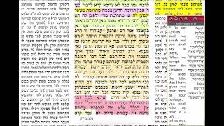 הדף היומי מסכת יומא דף כד Daf yomi Yoma daf 24 שמואל נבון