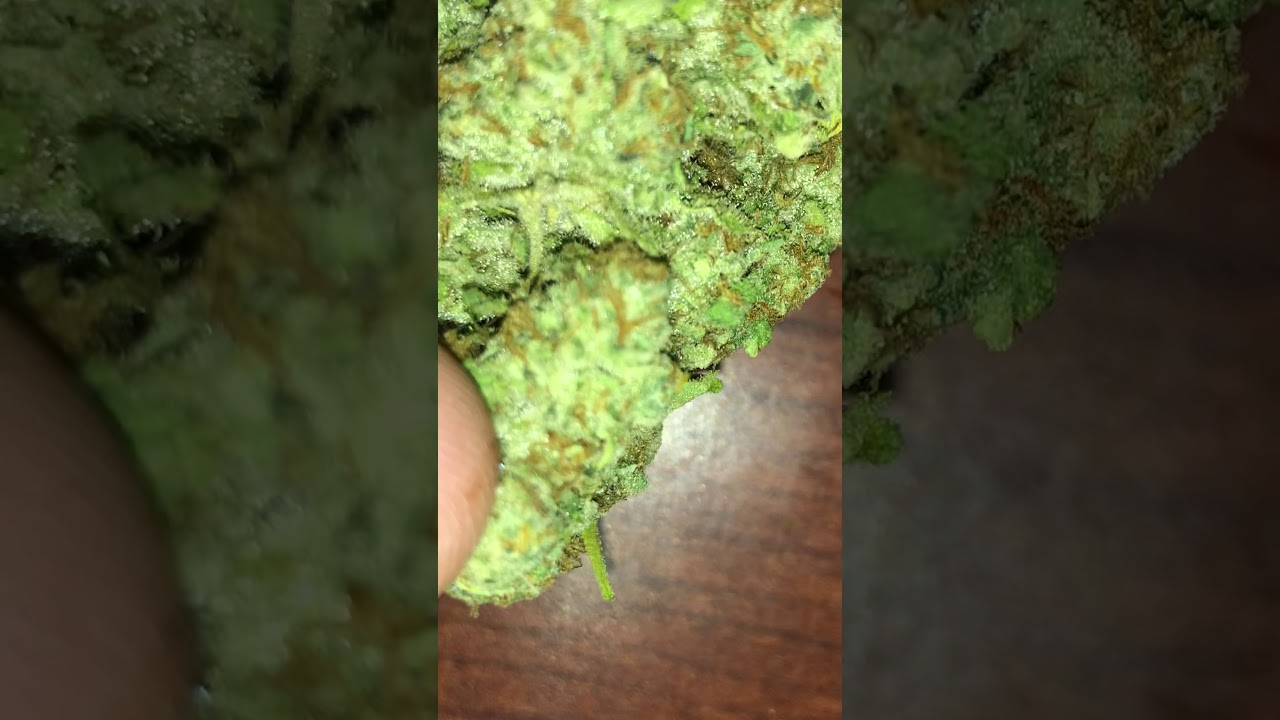 “Flo” weed Dj Shorts flo 🔥💯