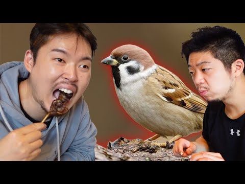(Ate &amp;#39;<strong>Sparrow</strong>&amp;#39;)