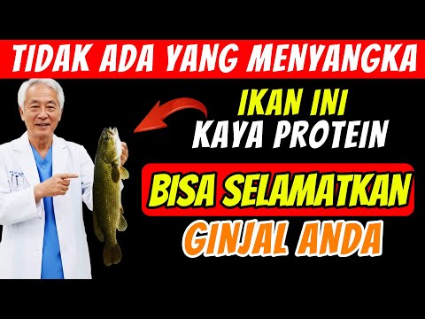Apakah Ikan Termasuk Makanan Yang Mengandung Protein