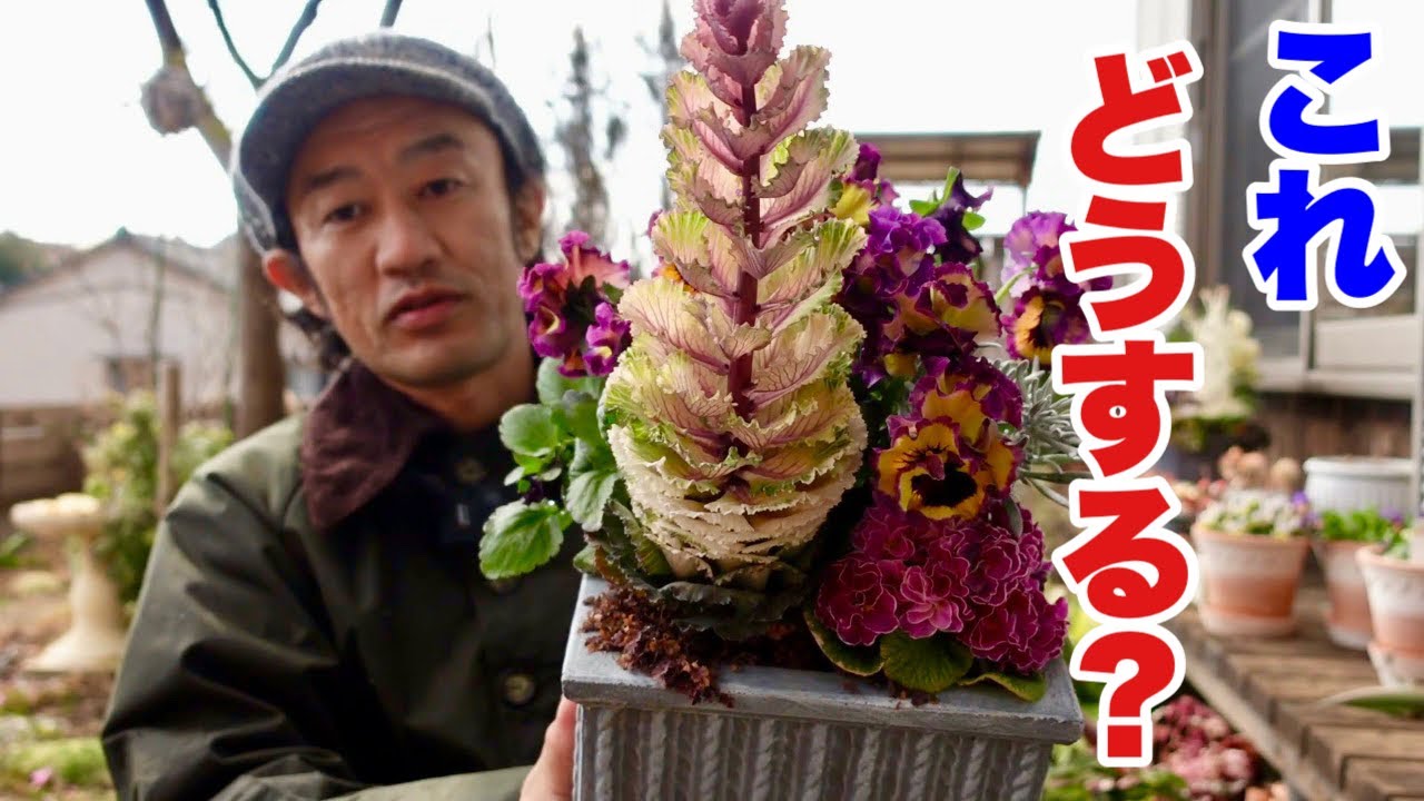 Group planting dismantling - YouTube