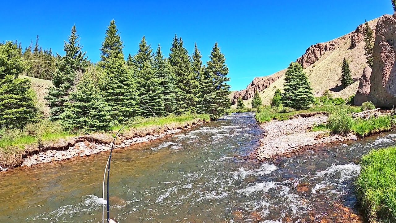 Какое нахлыстовое удилище лучше всего — стеклянное или графитовое — я покажу вам и расскажу о сво...