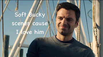 What is the Bucky Clause?