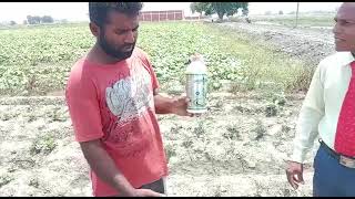 panipat haryana jems bond nava Bharath fertilizers Ltd rewari