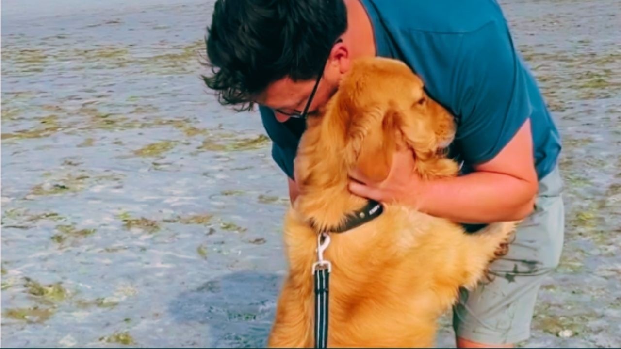 Его спасли из мясовоза… и он нашёл брата, который уже знал его душу 😢🐾