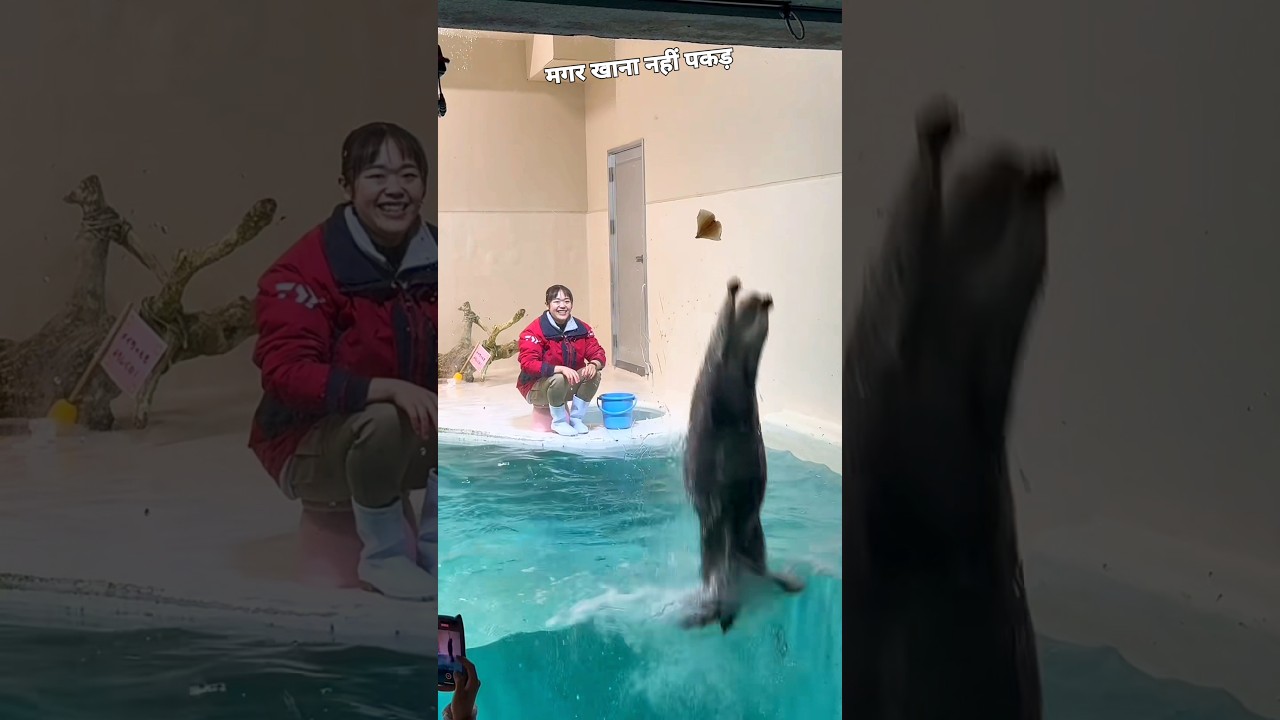 This Girl have a best pet