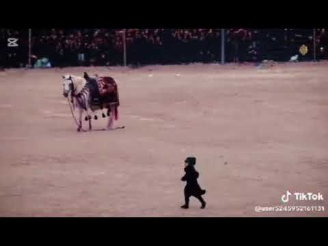 المشهد الذي هز الملايين عزيزة الحسين رقيه ع 