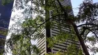 TD Bank Tower of Toronto (Dominion Centre)