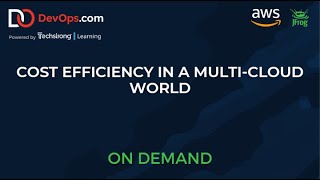 Cost Efficiency in a Multi-Cloud World