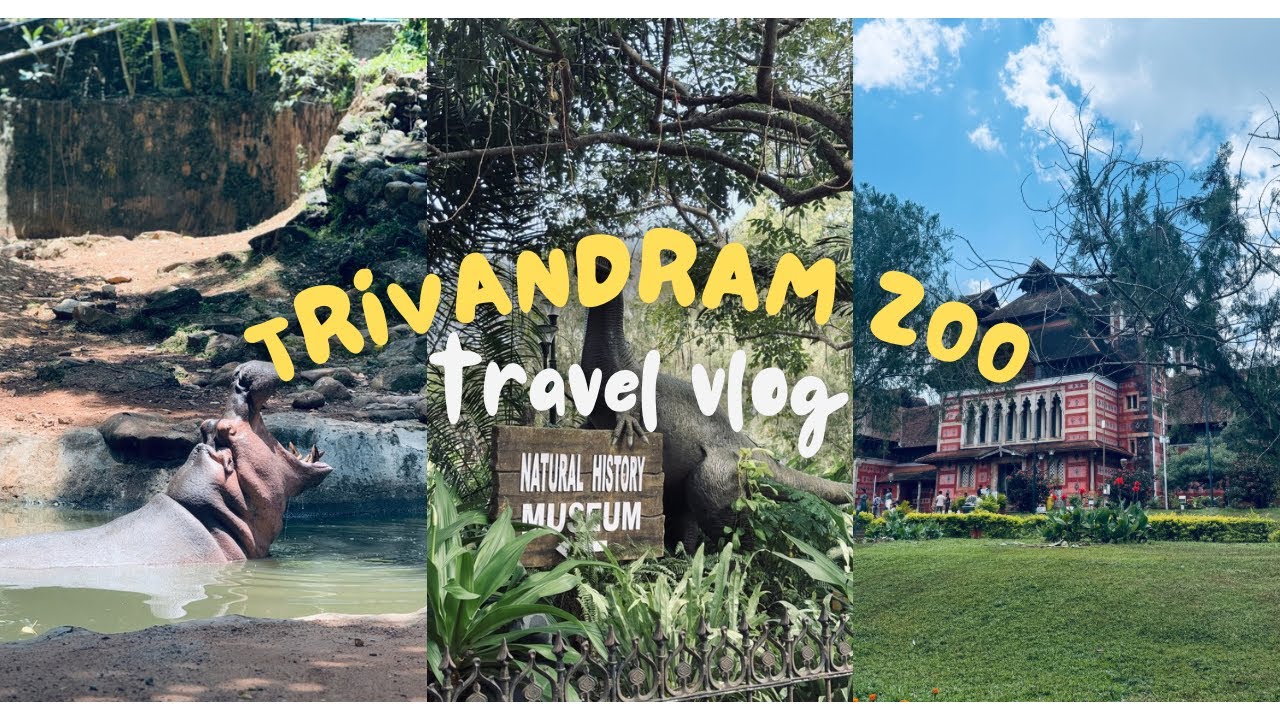 TRIVANDRAM ZOO 🐍🦍|COUSINS🤣|MUSEUM ✨