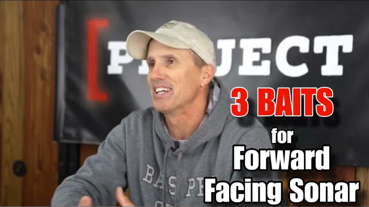TOP 3 Baits for JANUARY || FFS Baits Targeting Cold Water Bass