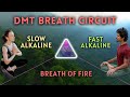 Amplify awareness quick 5minute breath circuit to revitalize your day with a natural high