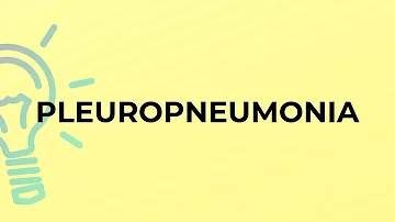 O que é a Pleuro_pnemonia?