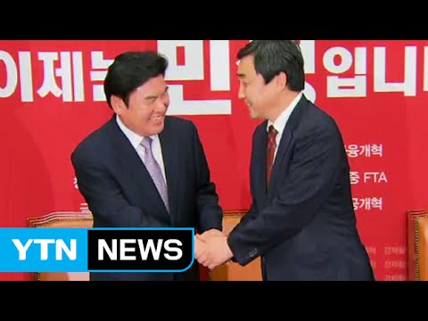 여야, 한중 FTA 비준안 처리 잠정합의...30일 본회의 / YTN