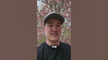 How I Use Chat GPT Every Day As A Developer