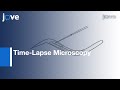 Time-Lapse Microscopy: Early Embryogenesis In Caenorhabditis elegans l Protocol Preview