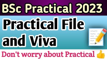 BSc Practical Exam 2023 || Practical File and Viva