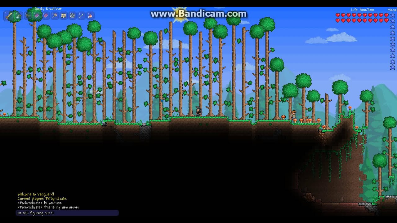 Terraria cracked 24/7 no hamachi server YouTube