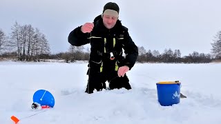 В ШОКЕ ОТ ТАКОГО КЛЕВА. ЭТО ЖОР ЩУКИ. Давно столько щуки не ловил. Рыбалка на жерлицы в феврале 2023