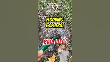 🚫 💦 Gopher 911: Tunnel Flooding | Getting Rid of Gophers | Edmonton Pest Control