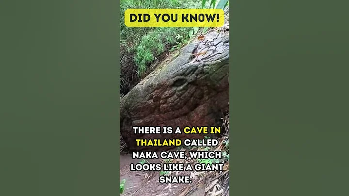 Giant Snake Rock in Thailand #Shorts #Viral #Shortvideos #lnakacave #Thailand