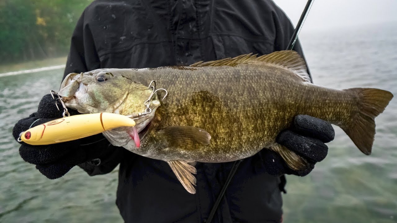 Fishing BIG Lures for BIG Bass!!! 