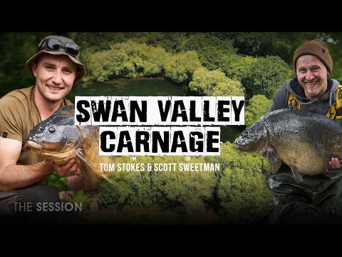 Old Yateley Carp Caught live for the camera | Tom Stokes