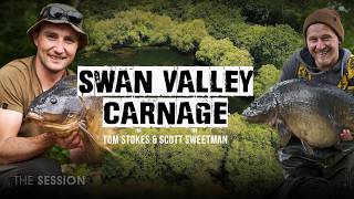 Old Yateley Carp Caught live for the camera | Tom Stokes